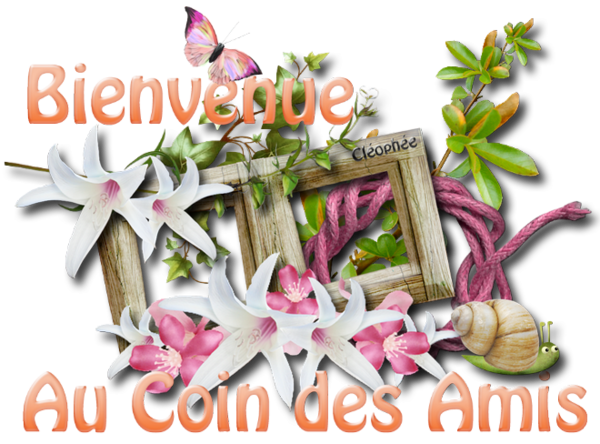 Le coin des amis !